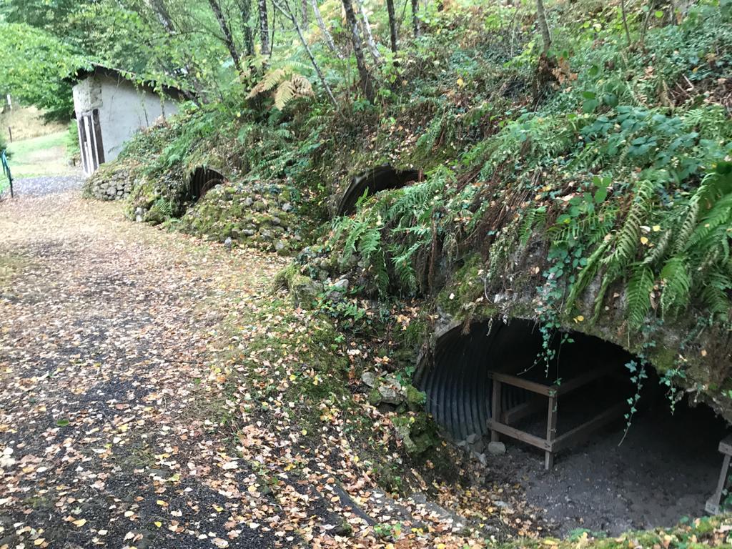 Photo n° 18 de l'avis de chiel.o fait le 26/09/2020 à 12:37