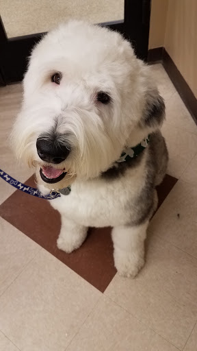 Pet Supply Store «PetSmart», reviews and photos, 16086 Jackson Creek Pkwy, Monument, CO 80132, USA