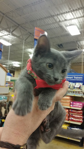 Pet Supply Store «PetSmart», reviews and photos, 1800 Evans Rd, Melbourne, FL 32904, USA