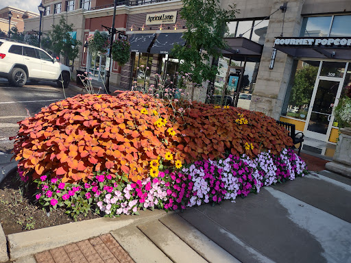 Shopping Mall «The Streets at SouthGlenn», reviews and photos, 6991 S Vine St, Centennial, CO 80122, USA