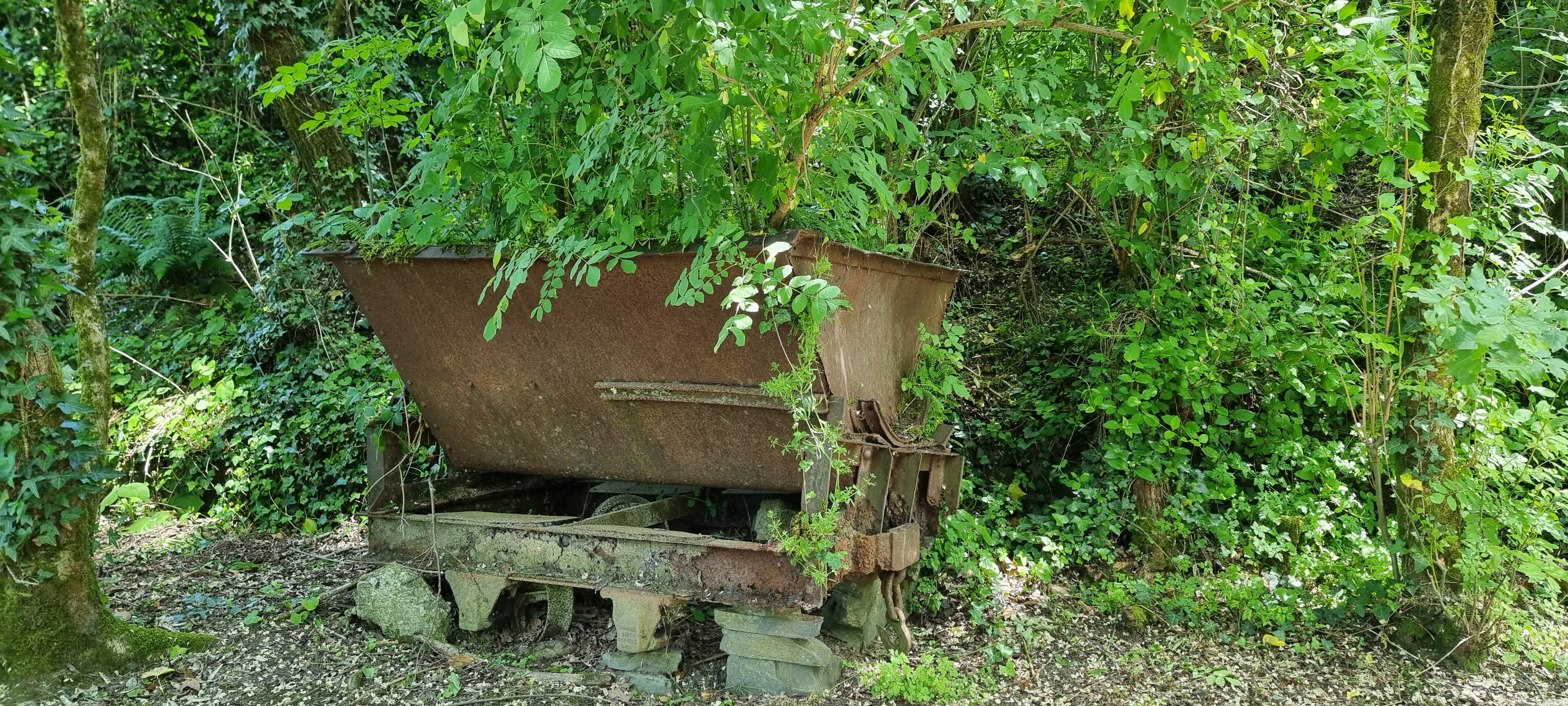 Photo n° 16 de l'avis de lea.a fait le 20/05/2023 à 20:43