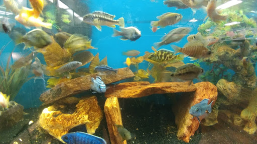 Pet Supply Store «Pet Valu», reviews and photos, 10761 Innovation Drive, Miamisburg, OH 45342, USA