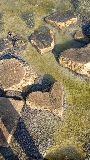 Grocery Store «Seaway Market & Deli», reviews and photos, 1001 Seaway Dr, Fort Pierce, FL 34949, USA