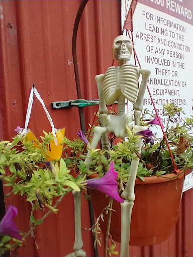 Produce Market «Race Farm», reviews and photos, 87 Belcher Rd, Blairstown, NJ 07825, USA