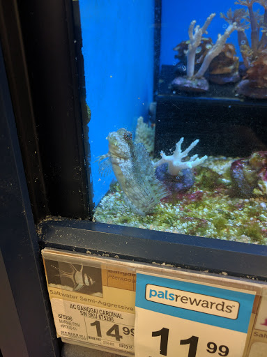 Pet Supply Store «Petco Animal Supplies», reviews and photos, 3680 Spencer Hwy, Pasadena, TX 77504, USA