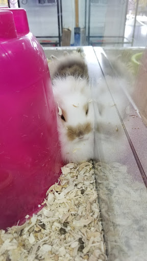 Pet Store «Pet Nation Llc», reviews and photos, 1898 Andorra St, Navarre, FL 32566, USA