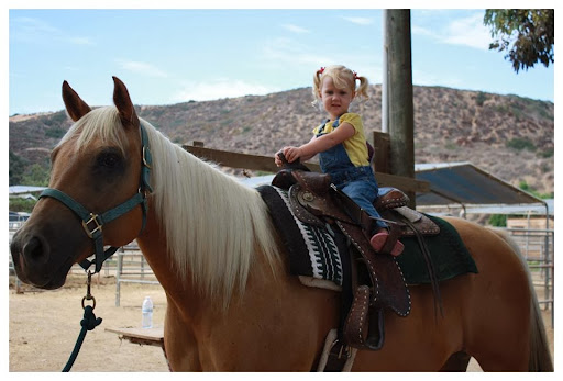 Pony riding places in Tijuana