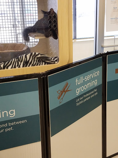 Pet Supply Store «Petco Animal Supplies», reviews and photos, 15790 South La Grange Road, Orland Park, IL 60462, USA