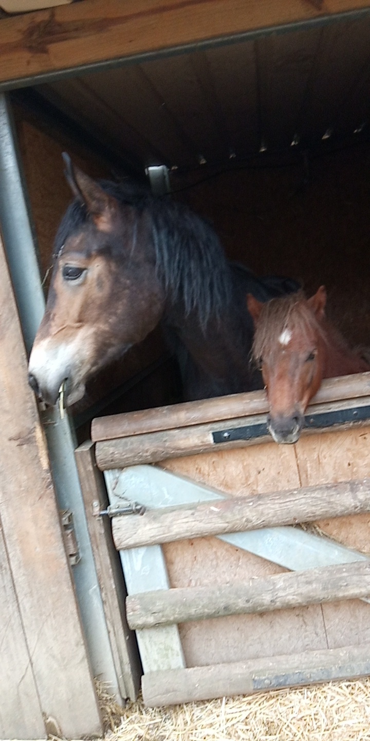 Photo n° 7 de l'avis de Cavalière.' fait le 30/06/2019 à 18:26