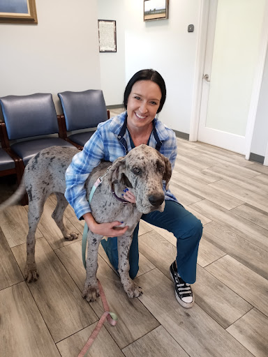 Northlake Veterinary Hospital image