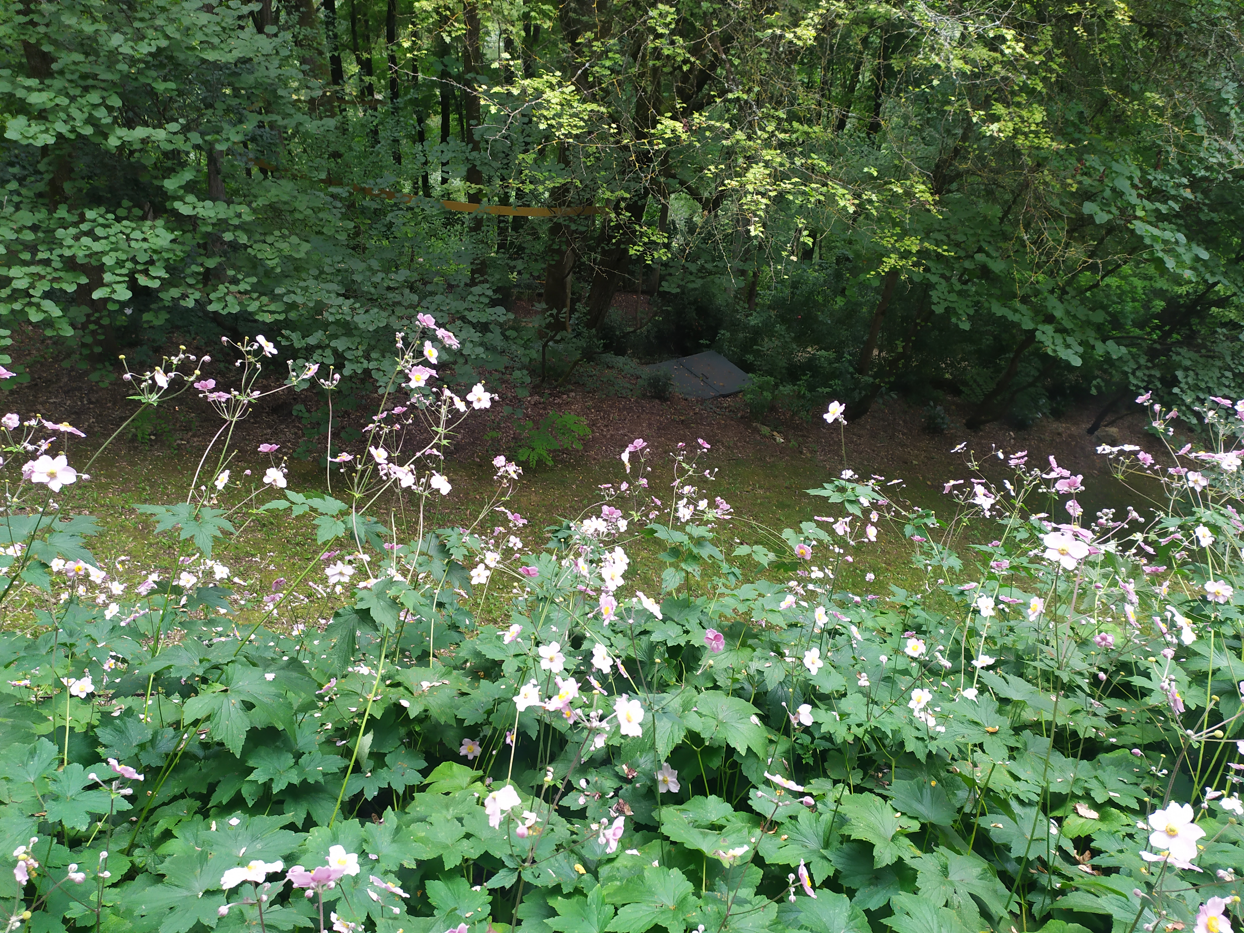 Photo n° 5 de l'avis de Séverin.i fait le 18/08/2021 à 14:33