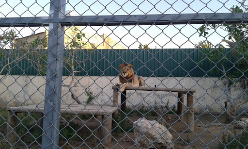 Park «Holcombe Rucker Park», reviews and photos, 280 W 155th St, New York, NY 10039, USA