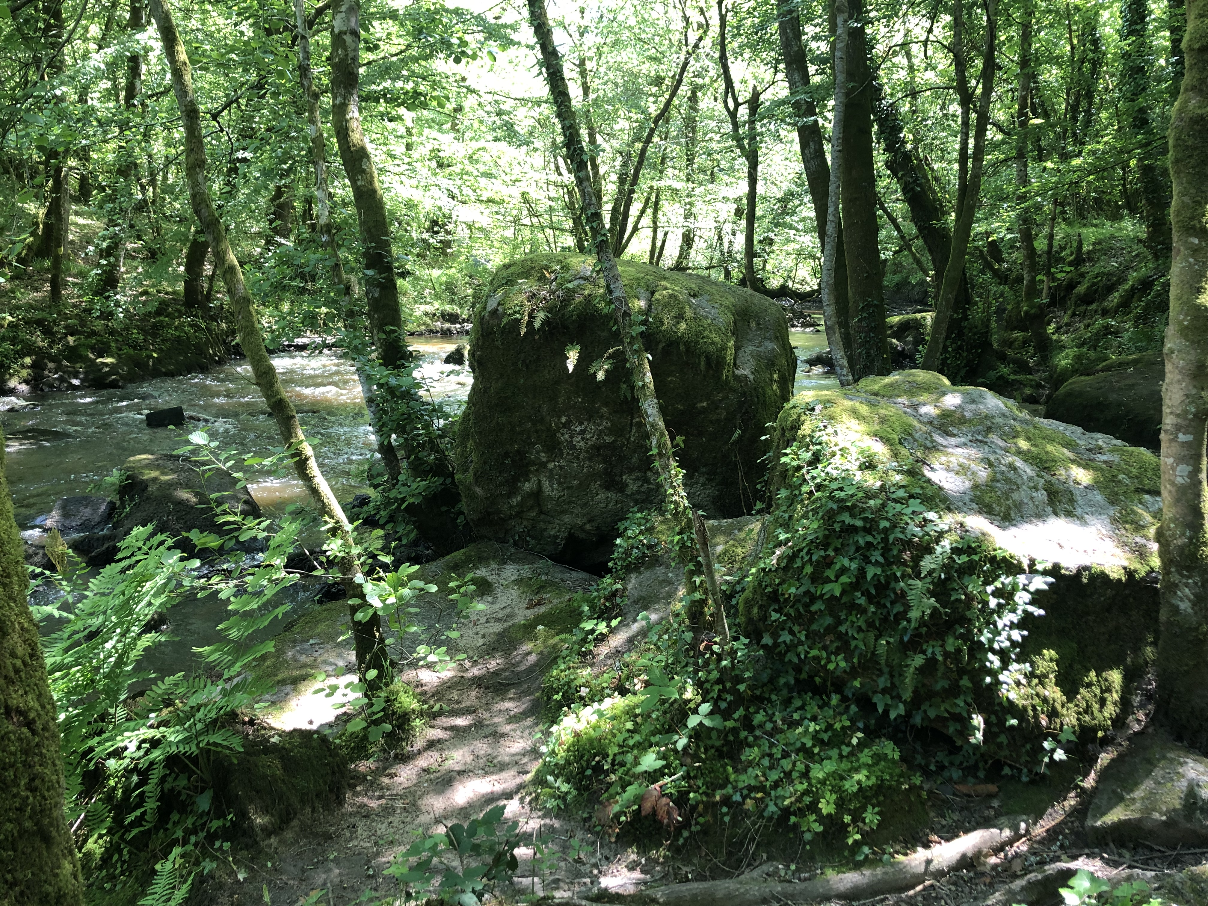 Photo n° 26 de l'avis de Yann.. fait le 05/06/2023 à 12:17