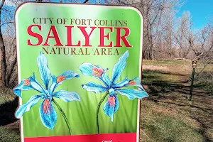 Salyer Natural Area image