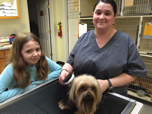 Palmetto Veterinary Medicine & Surgery image