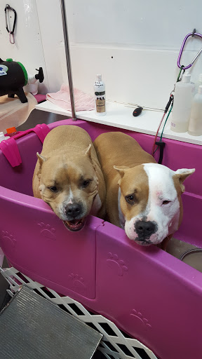 Pet Groomer «A Klassy Lassie, LLC», reviews and photos, 30 Old Jackson Rd, McDonough, GA 30252, USA