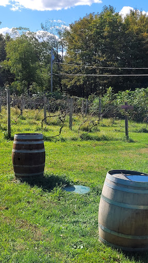 Winery «Bashakill Vineyards», reviews and photos, 1131 S Rd, Wurtsboro, NY 12790, USA