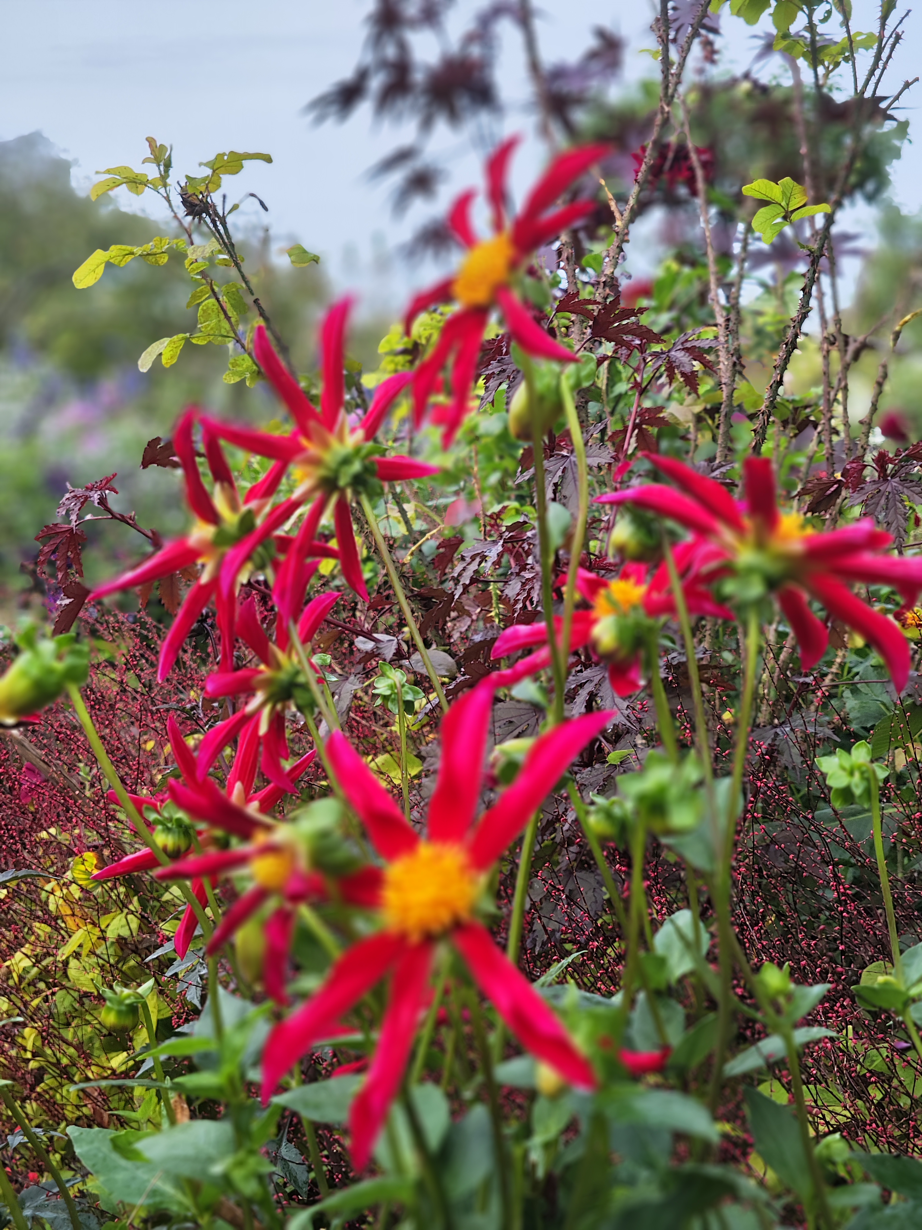 Photo n° 5 de l'avis de Philippe.u fait le 20/10/2023 à 11:49
