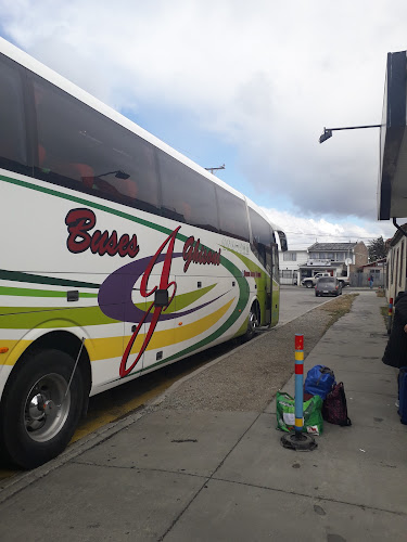 Opiniones de Buses Barria en Punta Arenas - Servicio de transporte