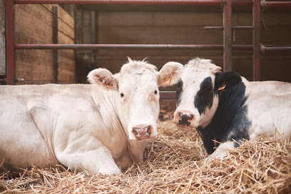 Boerderij Fines