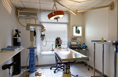 Clinique Vétérinaire du Lac à Sévrier