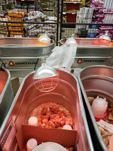 Home Improvement Store «Tractor Supply Co.», reviews and photos, 4724 Penn Ave a, Reading, PA 19608, USA