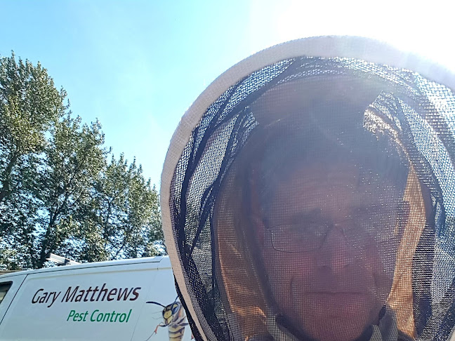Gary Matthews, Mole/Wasp/Ant/Rodent Control+Drain survey.(Near me) - Northampton