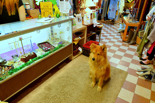 Thrift Store «Lucky Dog Thrift Shop», reviews and photos, 23 Elm St, Nashua, NH 03060, USA