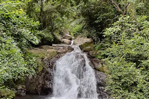 Adivaram Waterfall's(വെട്ടുകല്ലംകുഴി) image