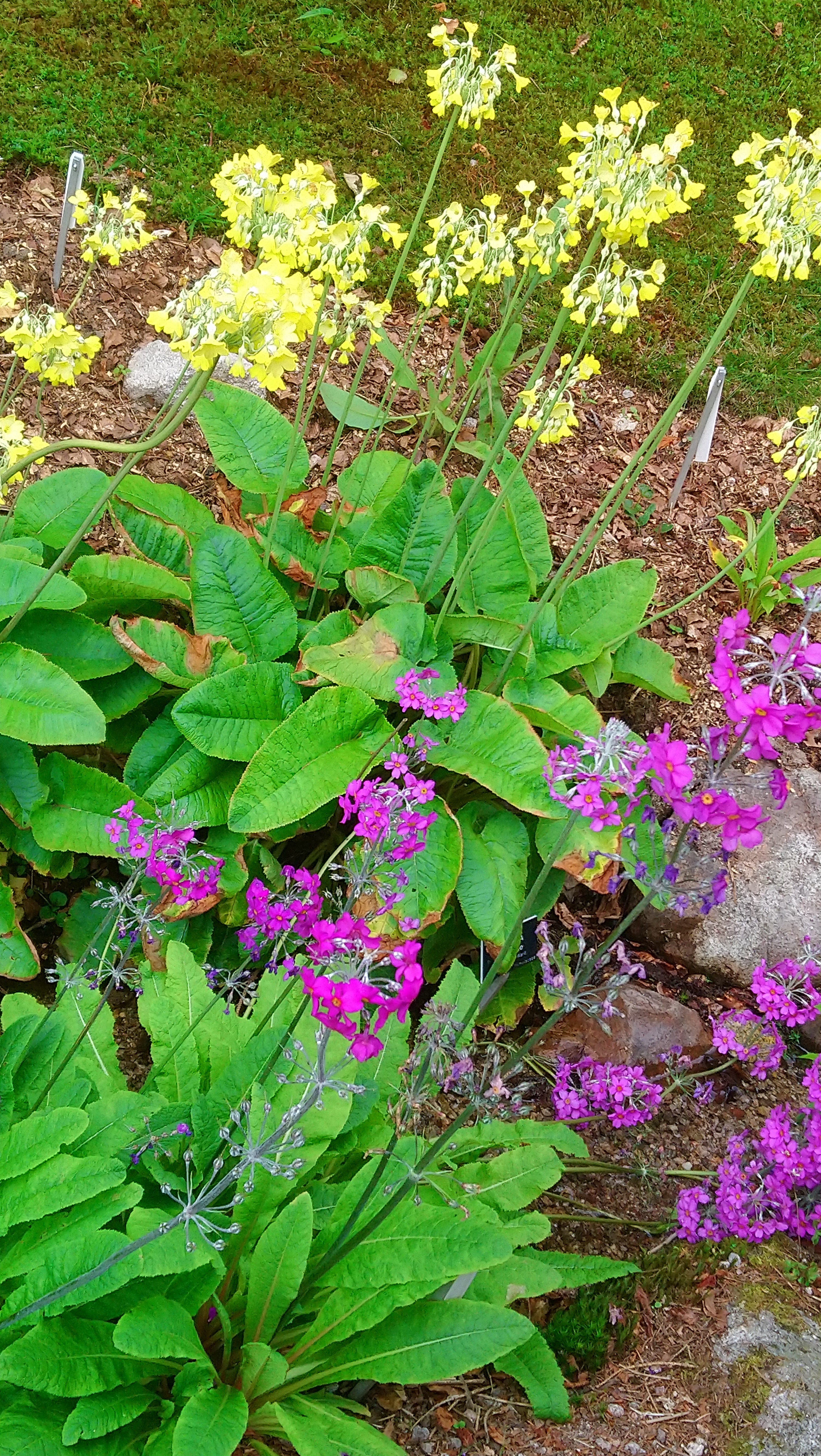 Photo n° 3 de l'avis de Karine.r fait le 25/07/2020 à 18:10