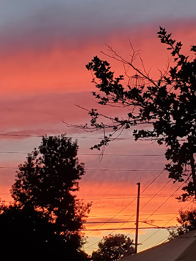 Hamburger Restaurant «Canyons Burger Company», reviews and photos, 335 Chambers St, Woodstock, GA 30188, USA