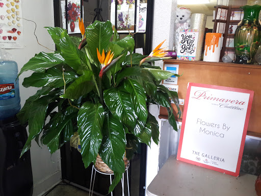 Florist «Flowers by Monica», reviews and photos, 9210 Homestead Rd a, Houston, TX 77016, USA