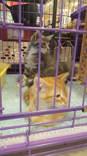 Pet Supply Store «PetSmart», reviews and photos, 1945 Pavilion Way, Lexington, KY 40509, USA