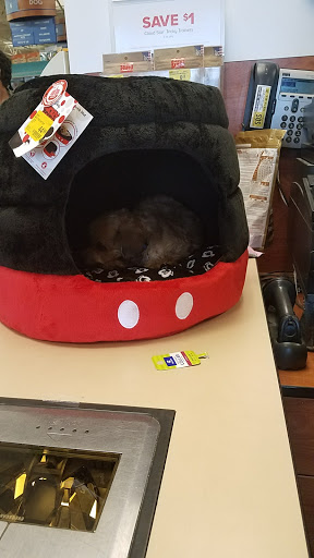 Pet Supply Store «PetSmart», reviews and photos, 1986 Mt Zion Rd, Morrow, GA 30260, USA