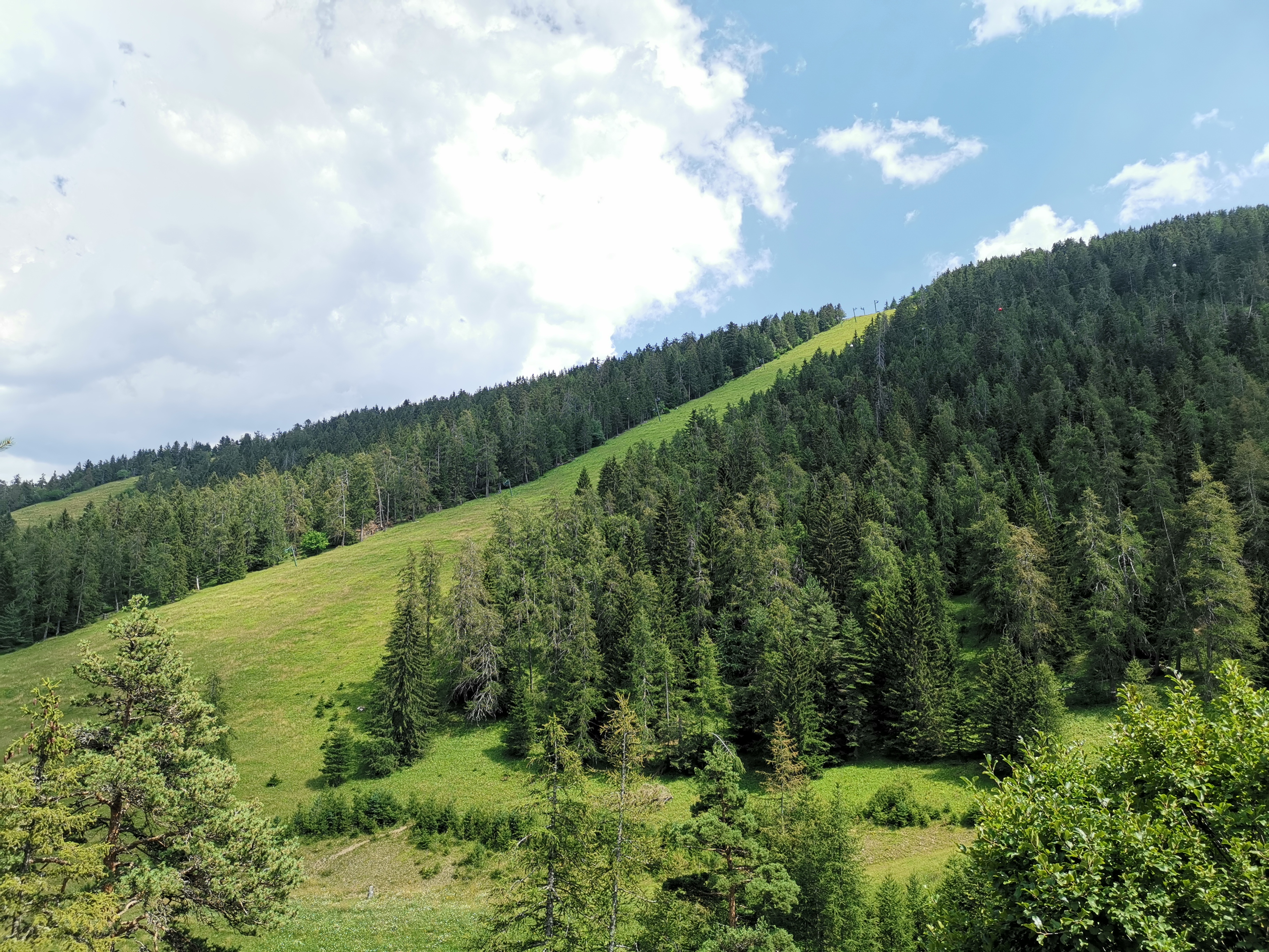 Photo n° 6 de l'avis de Christophe.a fait le 31/07/2020 à 18:03