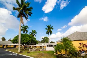 Tropical Palm Motel image