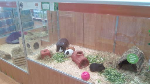 Pets at Home Newcastle Byker