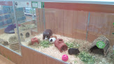 Pets at Home Newcastle Byker