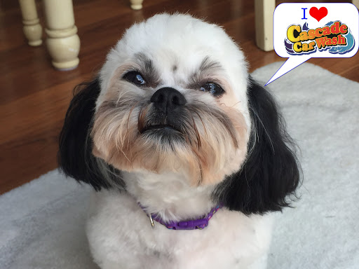 Car Wash «Cascade Car Wash - Springboro», reviews and photos, 185 Hiawatha Trail, Springboro, OH 45066, USA