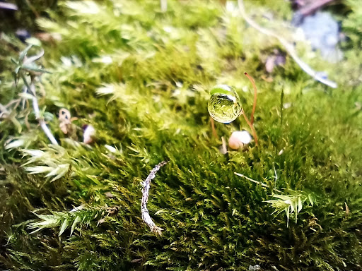 Shopping Mall «Clayton Valley Shopping Center», reviews and photos, 5424 Ygnacio Valley Rd, Concord, CA 94521, USA