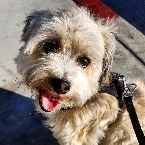 Pet Supply Store «Unleashed by Petco», reviews and photos, 1402 Wilshire Blvd, Santa Monica, CA 90403, USA