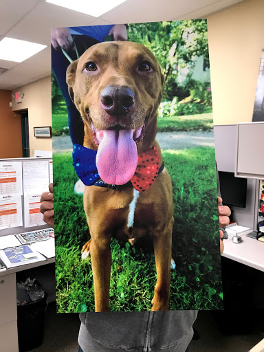 Print Shop «MSW Print & Imaging», reviews and photos, 3901 Bestech Drive #800, Ypsilanti, MI 48197, USA