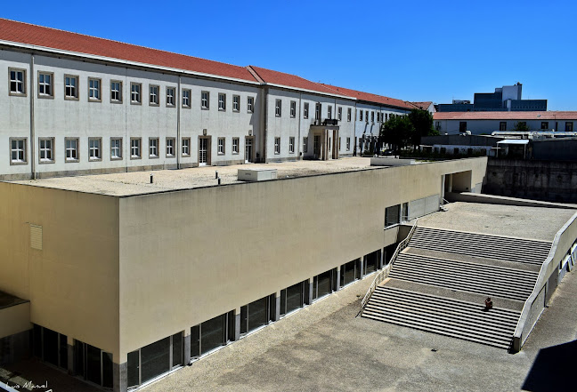 Instituto de Ciências Biomédicas Abel Salazar - U.Porto - Porto