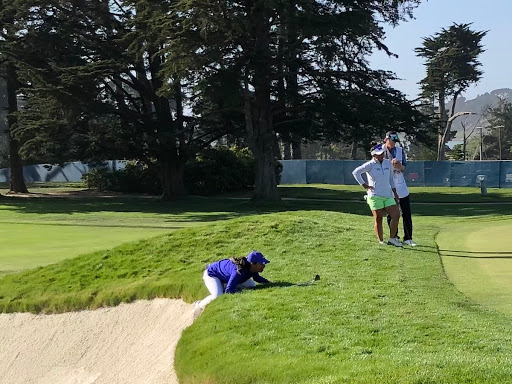 Golf Club «Burl Oaks Golf Club», reviews and photos, 5400 N Arm Dr, Minnetrista, MN 55364, USA