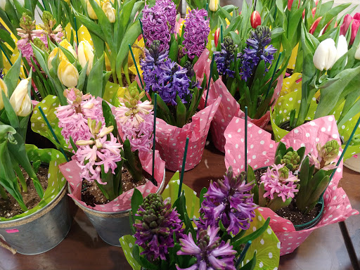 Shopping Mall «Southern Plaza Shopping Center», reviews and photos, 4200 S East St, Indianapolis, IN 46227, USA