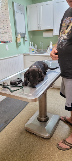 Three Rivers Veterinary Clinic image