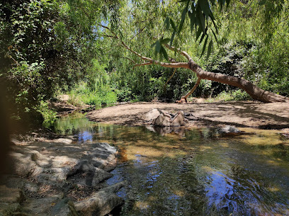 Poza de la Virgen. Parque Natural Gómez Carreño.