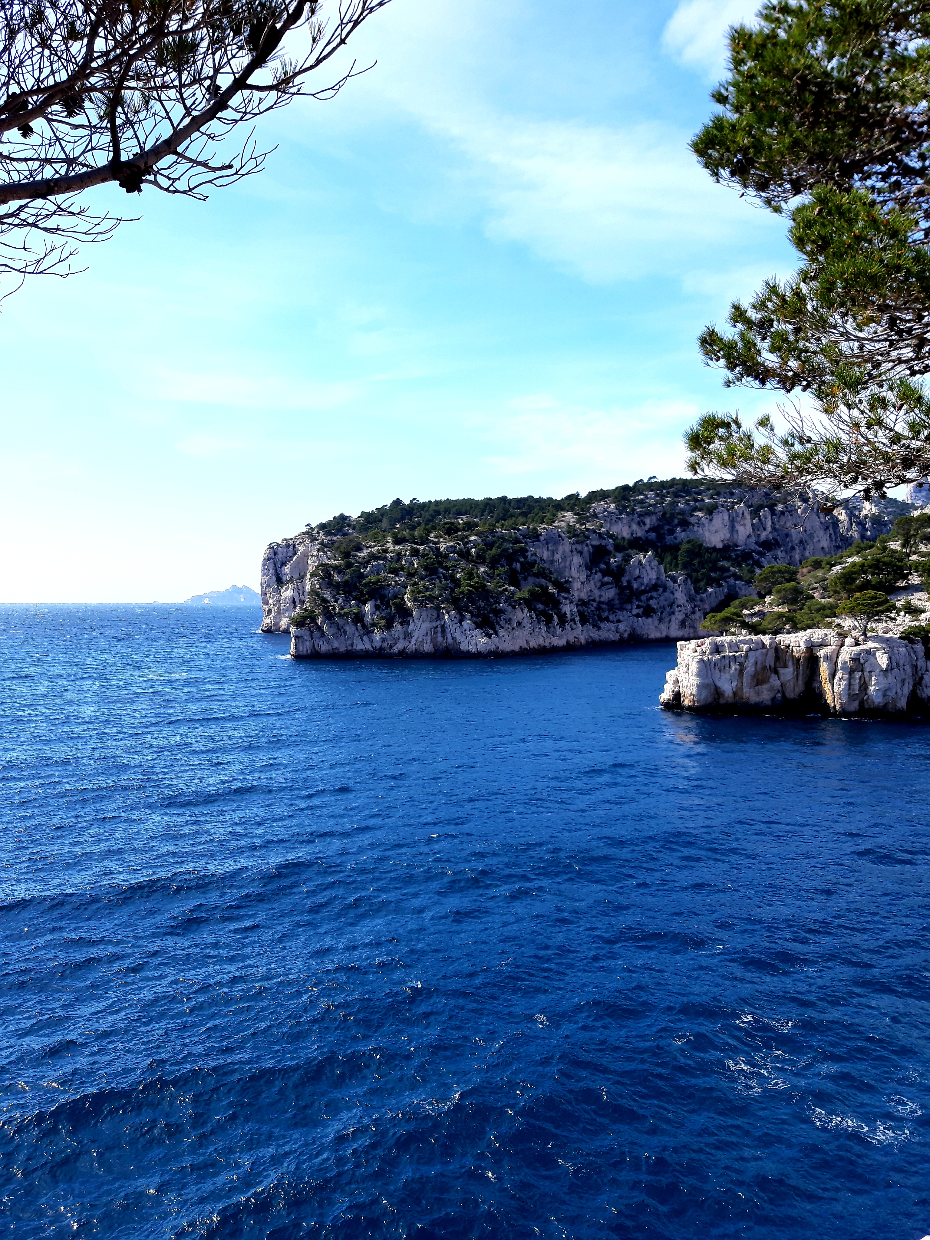 Photo n° 26 de l'avis de Islas.a fait le 27/03/2021 à 17:41