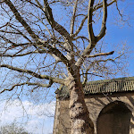 Photo n°14 de l'avis de Looky.o fait le 21/04/2024 à 12:07 sur le  Hotel & Wellness Goldenes Fass Meissen à Meissen