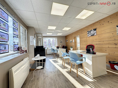 Agence ESPRIT IMMOBILIER SEYSSEL à Seyssel